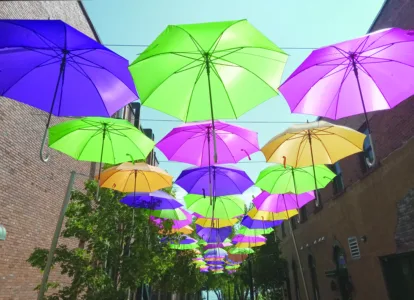 'Under my umbrella'